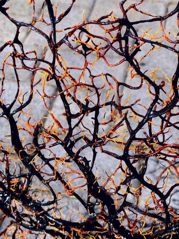 Complexity theory offers hope that our actions affect others